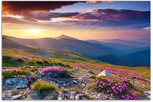 AUGENBLICKE WANDBILDER 120x80cm - Fotodruck auf Leinwand und Rahmen Berge Alpenrosen Berge Himmel Sommer - Leinwandbild auf Keilrahmen modern stilvoll - Bilder und Dekoration