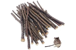 William Craft Bunny Kaustock, giocattolo da masticare per conigli e piccoli uccelli con asta di mela naturale al 100%