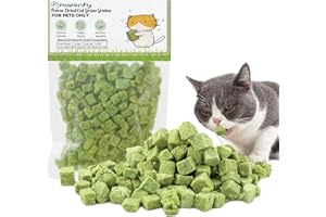 Havenfly Golosina de Hierba Gatera para Gatos, Snack Liofilizado con Hierba Gatera para Limpiar los Dientes, Cat Grass Teething Stick