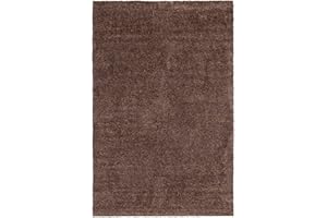 ‎ANDIAMO andiamo Fußmatte Samson - Schmutzfangmatte aus Baumwolle für den Hauseingang - einsetzbar als Fußmatte innen, Fußabtreter im überdachten Außenbereich oder als Haustiermatte 100 x 150 cm Braun