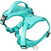 Max & Molly Urban Pets Matrix 2.0 Smart Tagged Sport Dog Collar &ndash; Superior Control and Comfort (Turquoise, L)