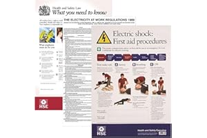 iSigns Posters and Information (Electric Shock Notice, Health & Safety Law and Electricity At Work Regulations 1989 Posters), A3 Office Sign, Laminated, British HSE Standards Approved