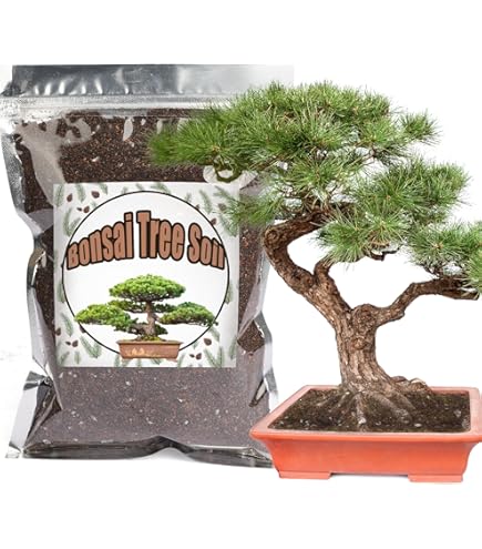 Bonsaierde, Frux, 5 Liter : Amazon.de: Garten
