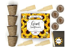 THE LOVELY STUFF COMPANY Grow Your Own Sunflower Kit Mamouth Edition - Family Box - Complete Beginner Starter Kit | Easy Instructions | Made in UK | Perfect Gardening Gift for Any Occasion