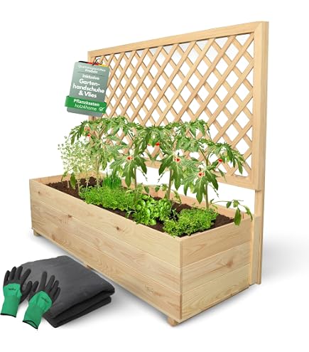 Burger Efeu-/Blumenkasten aus Holz mit Rankgitter : Amazon.de: Garten