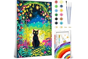 JIEYISIER Peinture Numero Adulte Avec Boîte Colorée Le Chat Noir,Peinture par Numero Adulte Débutant Animaux Avec Cadre,Le Ciel étoilé Kits de Peinture au Numéro pour Décoration Maison et Cadeau 20x30cm