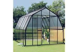 Deufre Invernadero de Jardín Invernadero de Vidrio de Terraza Exterior para Cultivo Plantas Flores Macetas 282 x 354 x 243 cm, Invernadero de Aluminio Gris Antracita 9,98 m²