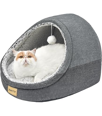 Jiupety Schattig Kattenhol voor Binnen, Kattengrot met Wasbaar Kussen, Zacht en Comfortabel Kattennest, Cat Bed Geschikt voor Binnenkatten of Puppy's, Cat House Green, L