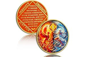 ATSKNSK Phoenix Rising 1 Year Sobriety Coin, Addiction Recovery AA NA Chips Medallion with Token Capsule, Narcotics Anonymous Sober Anniversary Milestones, Sobriety Gifts for Men Women