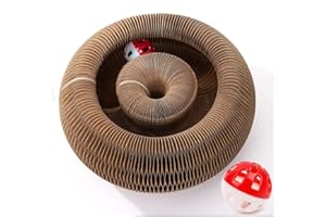 Fliti Magic Organ Interactive Cat Scratcher Toy - The Ultimate Interactive Mental & Physical Exercise for Indoor Cats