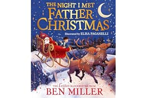 The Night I Met Father Christmas: A festive picture book adventure