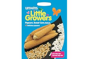 Unwins Pictorial Packet - Little Growers Sweet Corn Popcorn Robust - 50 Seeds