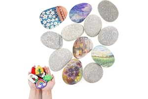 CHMISS Steine zum Bemalen Set,12Pcs Flache Steine Zum Bemalen,Kieselsteine Flache Steine Steine zum Bemalen Flusskiesel Garten Kieselsteine Beach Pebbles Malsteine rund 50-80mm zum Bemalen und Basteln
