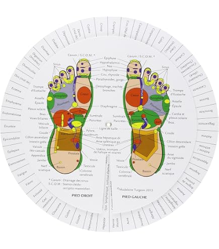 Sleepling Oreiller Veineux 40x68cm - Soutien Jambes Lavable 60°C - Fabriqué En UE (blanc)