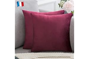 Douceur De Plumes Lot de 2 Housse de Coussin Prune Bordeaux Velours 60x60 cm Uni, Taie d'oreiller Carré Doux et Moderne pour Scandinave Pourpre, Salon Violet Canapé (2 Prune)