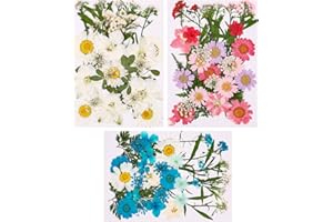 tao pipe 106 Piezas Flores Secas Naturales, Flores Secas Naturales Flor Prensada Mezclada Bricolaje Decoraciones Flores Secas Para Albumes de Recortes Arte Manualidades (3packs)