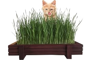 MICROGREEN PROS™ Organic Cat Grass Seeds Indoor Wooden Planter Kit with Tray Set