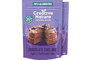 Gluten Free Cake Mix | Creative Nature Vegan Chocolate Cake Mix | Organic, Nut Free, Dairy Free | Top 14 Allergen Free | 2 Pack