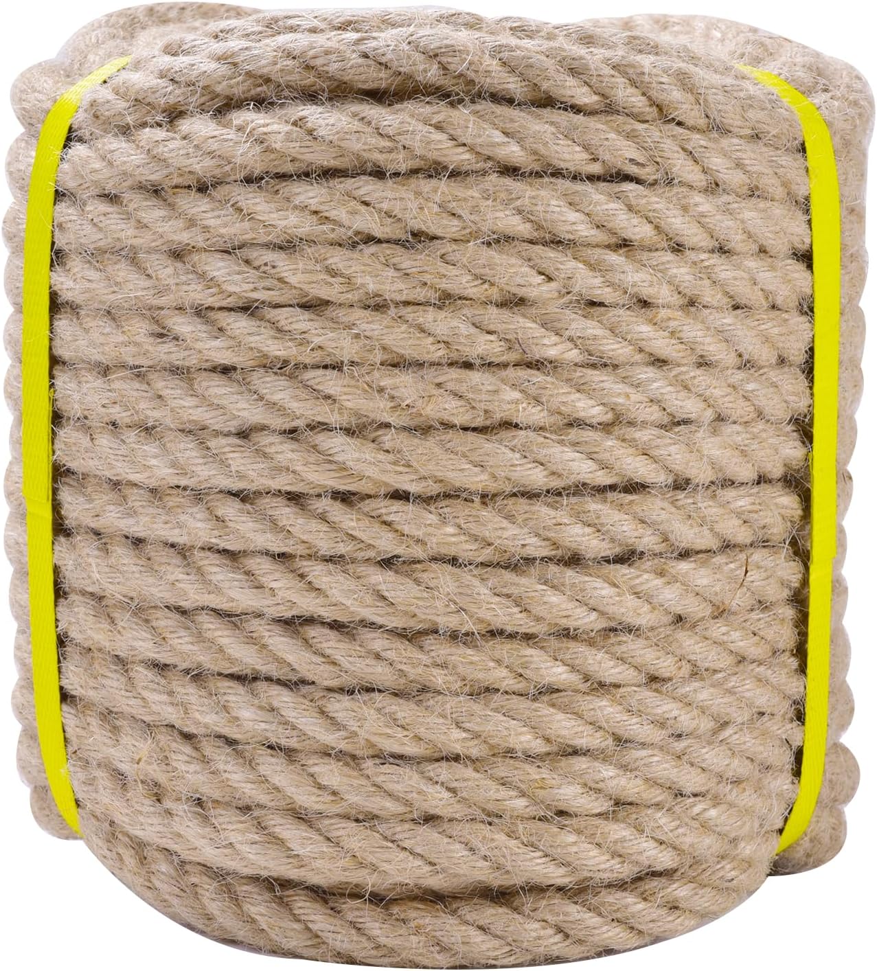 Vue 10