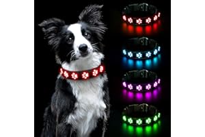 AUAUY Collar de perro iluminado con luz LED recargable por USB, impermeable, intermitente, de piel de PVC, ajustable, brillante, súper brillante, para perros pequeños, medianos y grandes