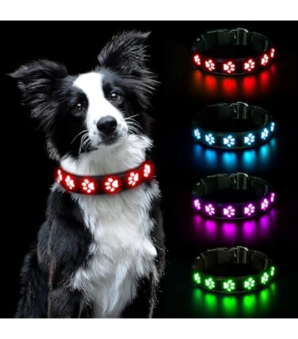 Collare Aticare Per Cani Sotto 8 Kg - Previene Dermatiti E Protegge La Pelle | Comfort E Sicurezza