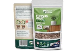 Bloom & Bud Fungus Gnat Killer for Indoor Plants (1 Litre): Ultimate Indoor Plant Protector for No Gnat Pot Topping with Gravel Mulch Systemic Granules|Plant Gravel for Gravel for Indoor Pot Anti Gnat