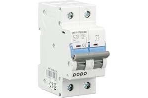 POPP® Interruptor Automático Magnetotérmico industrial CURVA C 1P 2P 3P + 6A 10A 16A 20A 25A 32A 40A 50A 63A … (2P, 10A)