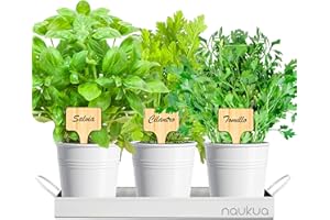 NAUKUA Mini Huerto Urbano Vintage de Plantas Aromáticas Cocina (Tomillo, Cilantro y Salvia) - Semillas Orgánicas de España - Kit Plantas aromaticas para Cultivar tus Hierbas Frescas - Huerto en casa
