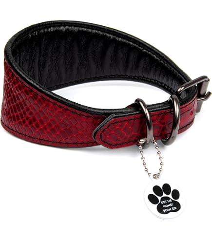 Leder-Halsband Für Windhund (Halsumfang 40-47 Cm) – Schwarz, Gepolstert, Breite 15-70 Mm, Gesamtlänge 50 Cm