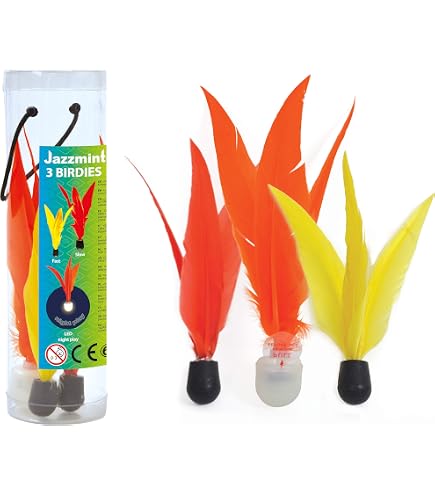 Schildkröt Jazzminton Set – 2 Raquettes + 3 Birdies LED – Jeu De Plage Nocturne Ultra Fun