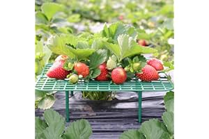 CNNIK 10 Stück Erdbeeren Schutz Erdbeerreifer Schneckenschutz Erdbeerstützen für Gartenzubehör Erdbeergitter Quadratisch