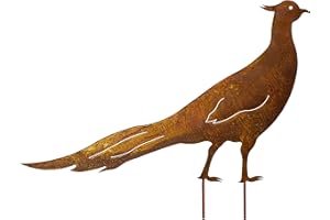 Blümelhuber Faganio in effetto ruggine come decorazione da giardino – come giardino, terrazza e laghetto – Animali in ruggine come decorazione da giardino – Dimensioni 65 x 50 cm