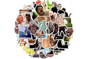 PIKAPIKA 100pack Meme Aufkleber für Laptop Geschenk für Kinder Teens Erwachsene Jungen,wasserdichte Classic Meme Aufkleber für Wasserflaschen,Vinyl Stickers für Scrapbook,Skateboard,Auto