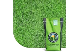 MRS SEEDS & MIXTURES Champion: Semences de gazon sport | 2 kg pour 120 m² | Résistant pour sport & usage intensif | Adapté à tous types de sols | Croissance Rapide | Faible entretien