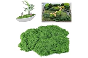 PRZRAO 100 g de mousse synthétique pour décoration, mousse artificielle, artificielle Moss est douce et réutilisable pour le bricolage paysage, vert clair