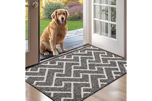 ‎BISCPRO Biscpro Paillasson Intérieur Tapis Entrée Intérieur Extérieur Imperméable, Antidérapant, Absorbant, Tapis Pour Entrée, Lavable, Cuisine, Salle de Bain (60 * 90 cm, Grey)