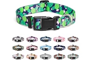 Mercano Collier pour Chien, Collier Classique en Nylon Réglable, Fleur, Océan, Forêt, Tribal Design, Tournesol, Flora, Léopard, pour Petits, Moyens et Grands Chiens (M, Cactus)