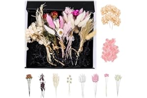 DOWNDRIFT 70 Stück Trockenblumen Klein Getrocknete Blumen Trockenblumenstrauß Klein Trockenblumen Zum Basteln Mini Trockenblumen Mini Trockenblumenstrauß für Handgemachte Heimdekoration Hochzeit