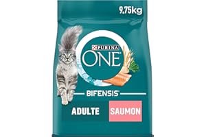 PURINA ONE | BIFENSIS | Chat Adulte Stérilisé | Croquettes | Aide à maintenir un système immunitaire fort | Au Saumon | Sac| 9,5Kg