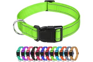 TagMe Odblaskowe nylonowe obroże dla psów, regulowana klasyczna obroża dla psa z klamrą szybkiego zwalniania dla średnich psów, zielona, 2,5 cm szerokości