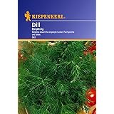 Kiepenkerl, Dill Einjährig