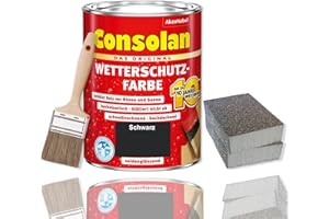 ERHARD-TRADING Consolan Wetterschutzfarbe Set 750 ml Holzfarbe Dauerschutz Deckend mit Zubehör (Schwarz)