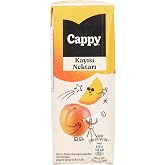 Cappy Kayısı Nektarı Karton Kutu 27x200 ML