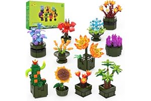 JMBricklayer Kit di Piante Grasse per Adulti 10001 Confezione da 12 Piante Piccole Collezione Botanica Espositore per Decorazione della Stanza Blocchi di Fiori Bonsai Regali per Donne Ragazze
