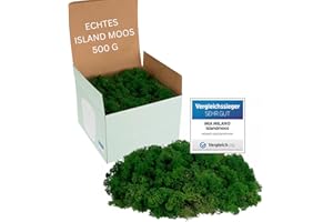 Mia Milano Islandmoos dunkelgrün konserviert | Moos Deko zum Basteln | 500g Echtes Dekomoos Isländisch für Moosbild | Mooswand lebend