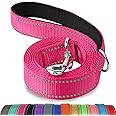 Joytale Padded Handle Dog Lead, Double-Sided Reflective Nylon Leads for Training, Walking Leash for Large, Medium Dogs, 1.8m × 2.5cm, Hotpink