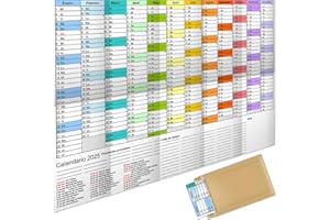 AEYAKA Calendario de Pared 2025 Calendario Anual Grande A1 Planificador con Resumen de días Festivos de Semanas Plegado 57 cm x 87 cm Españoles (color 25)