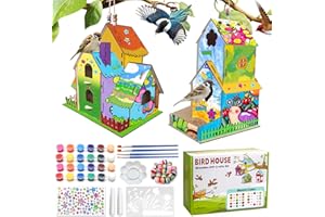 COL-PARY 2 Pack manualidades de casa de pájaros para niños,DIY Arte de pintura de bricolaje de madera,Kit casita para pájaros para niños,Proyectos artesanales para regalo Chico,Chica,5 a 8 años de 8 a 12 años