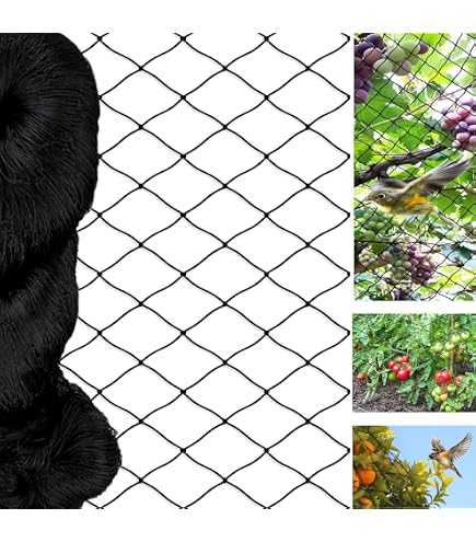 Vogelschutznetz 10x10 Meter – Maschenweite 35 Mm, UV-beständig | Schützt Obstbäume & Beete Vor Vögeln Und Wild