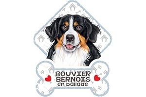 power gift Bouvier Bernois - Panneau pour Pare-Brise avec Ventouse– Mon Chien est à Bord. Plaque signalétique pour Tous Type véhicule. Chien à Bord, en Ballade, on Tour.